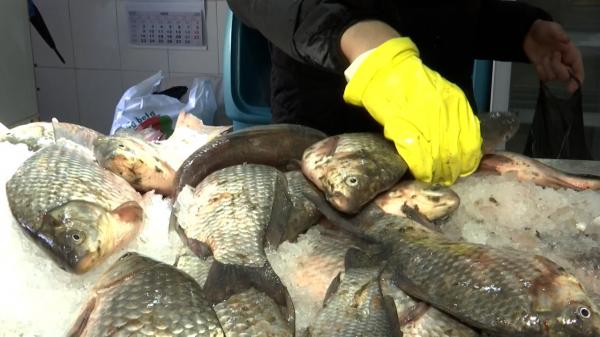 Peștele de sărbători, la prețuri piperate. La cât a ajuns un kilogram înainte de Revelion