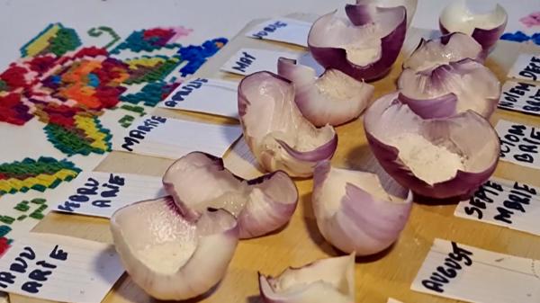 Tradiție păstrată de sute de ani în Mureș: Calendarul de ceapă arată cum va fi vremea în noul an