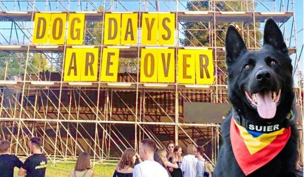 A murit Șuier, câinele polițist prezent la toate festivalurile din ţară. Acum un an "ieşise" la pensie