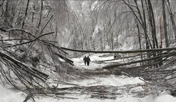 Viscol și ger extrem în vestul României: Localități izolate, pene de curent și temperaturi de -19 °C