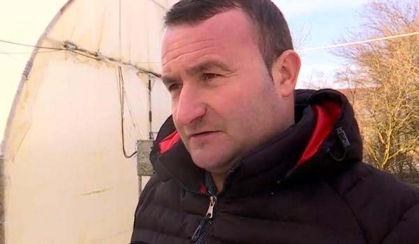 Valul de ger afectează culturile din solarii. Legumele s-ar putea scumpi şi mai mult în primăvară