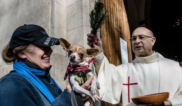 Ceremonie inedită în Spania. Zeci de animale de companie au fost binecuvântate de preoţii catolici