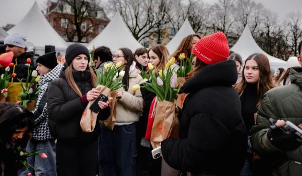 Covor de petale la Amsterdam. Peste 200.000 de lalele, expuse de Ziua internaţională a lalelei