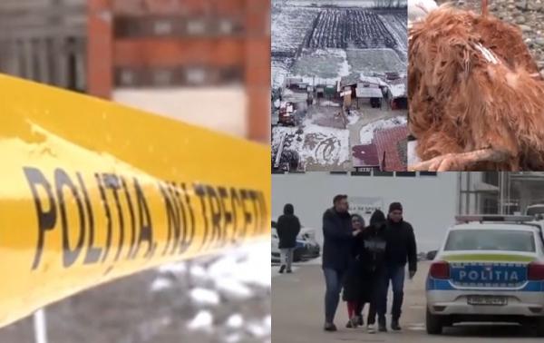 Minorii care şi-au ucis colegul de 15 ani au tăiat o găină ca să justifice urmele de sânge