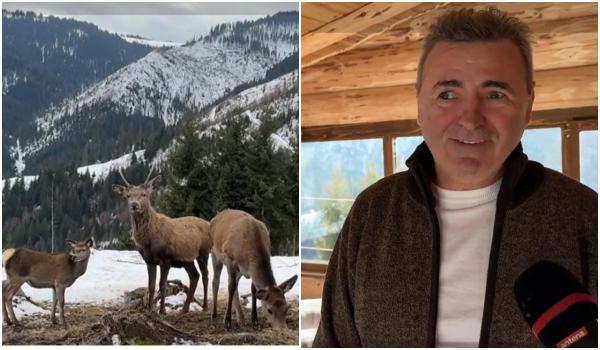 Turist, după ce ajunge la crescătoria de cerbi din Suceava: "Așa ceva nu știu dacă mai este undeva în ţară"