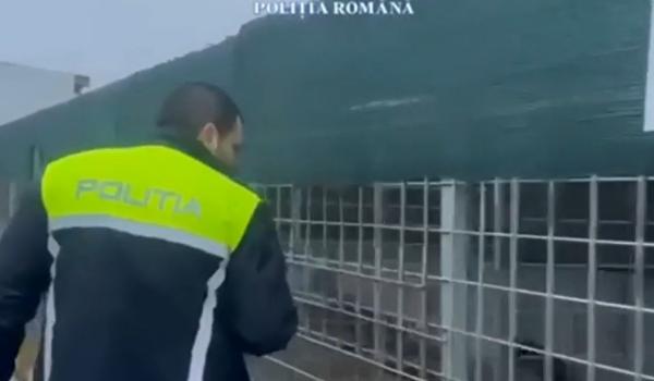 15.000 de câini, ucişi în moduri barbare: "Nu mă interesează pe mine, că nu i-au omorât în chinuri la mine"