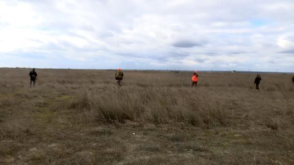 Satele din România care trăiesc sub teroarea șacalilor. Oamenii se tem să iasă din case şi să scoată animalele