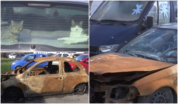 Oraşul în care autoturismele abandonate sufocă parcările. "Zici că e cimitir de maşini"