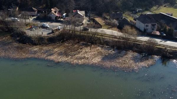 Alertă în Cluj după ce au fost găsite două lebede moarte. Autorităţile se tem că ar putea fi gripă aviară