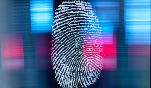 Frontierele României intră în era digitală. Controalele vor fi făcute exclusiv electronic