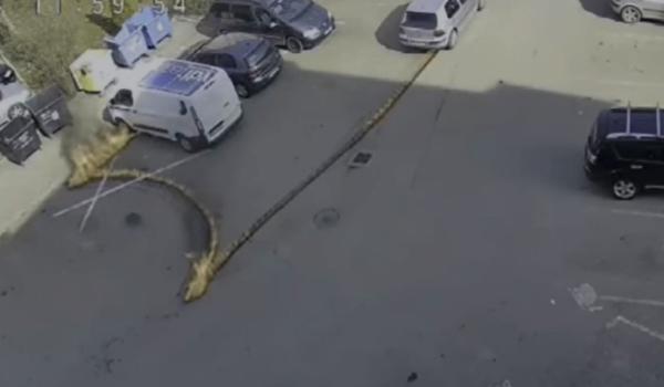 Momentul în care trei maşini iau foc într-o parcare din cauza unor scurgeri de combustibil