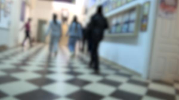 Bullying-ul care a ucis: Ce s-a schimbat după un an în liceul din Tulcea unde au avut loc două tragedii