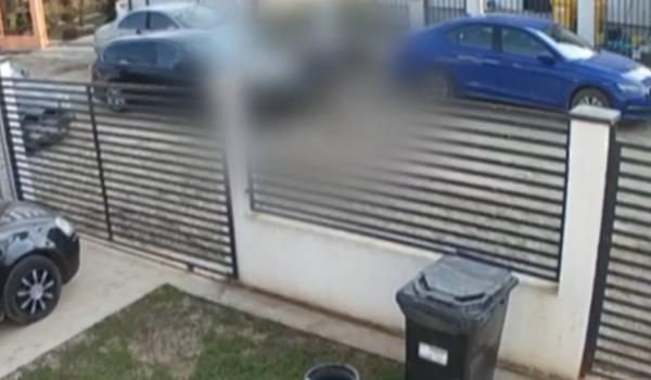 Momentul în care un bărbat calcă intenționat cu mașina un câine, într-o localitate din Ilfov