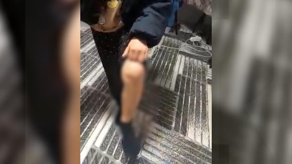 Fetița din Cluj maltratată de părinţi, luată din familie după ani de controale care verificau doar mâncarea