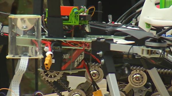 Domeniul tot mai căutat de viitori studenţi români. Au salariu din facultate și job garantat după absolvire