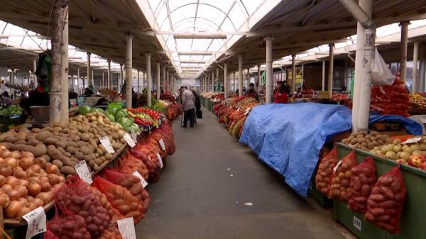 Leguma preferată a românilor a ajuns un lux. Comerciant: "Măcar investiția să o scoatem"