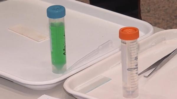 Cum arată medicina viitorului: pastile inteligente și organe printate 3D care pot salva vieți