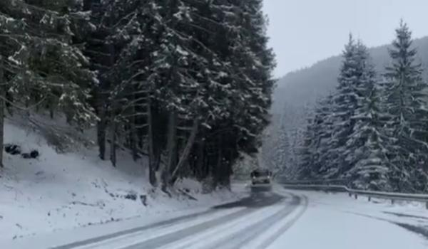 Unde s-a aşternut "zăpada mieilor", cu două zile înainte de Paşte. Ce surpriză aduce prognoza meteo