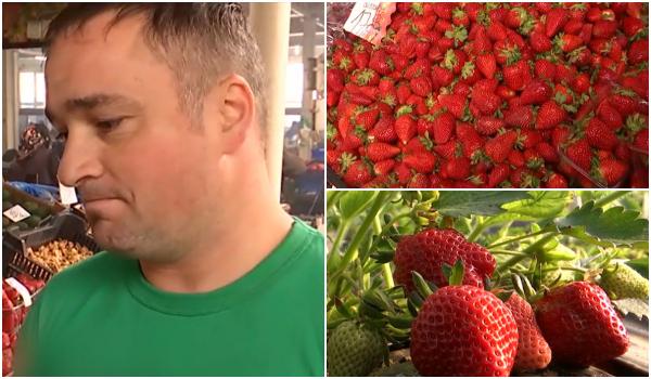 Cât costă primele căpşuni româneşti. Agricultorii vor să-şi scoată investiţia: "Nu-s pentru toate buzunarele"