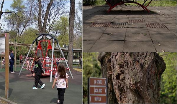 Pericolul ascuns din parcurile bucureştene: "Se poate întâmpla oricând ceva rău"