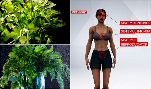 Leuşteanul, mărarul, pătrunjelul şi roşiile din pieţe duse la laborator. "Surprizele" nocive descoperite