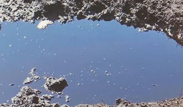 Satul din România unde petrolul curge din izvoare. Oamenii sunt disperaţi: "Putem să bem apă d-aia?"