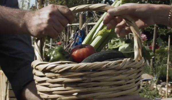 Mâncăm mai mult, dar ne hrănim mai prost. Cum afectează dioxidul de carbon alimentele