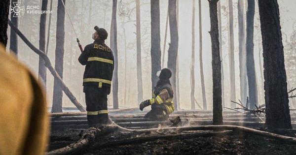 Incendiu violent în Cernobîl după căderea unei drone. Flăcările au cuprins peste 1.100 de hectare