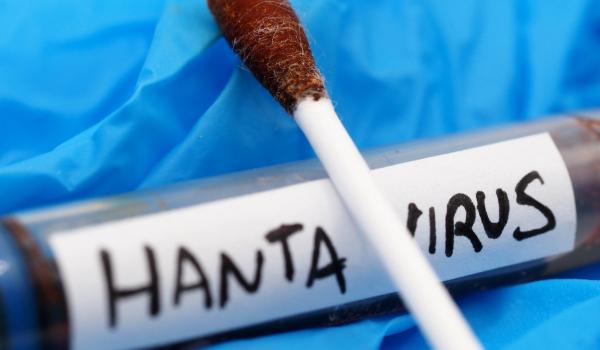 Cazul de hantavirus din România naşte discuţii la nivel internaţional