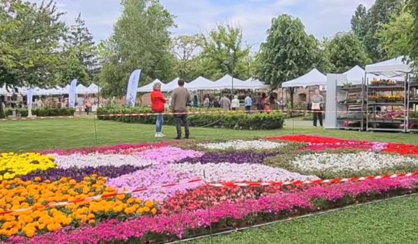 Cetatea din România care s-a transformat într-o grădină cu mii de flori: "E o minune să avem aşa ceva"