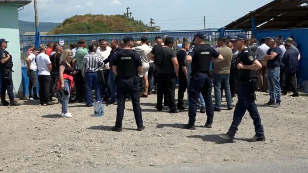 Crescătorii de oi au protestat în Hunedoara după ce nu şi-au primit banii pe animale. "Suntem disperaţi"