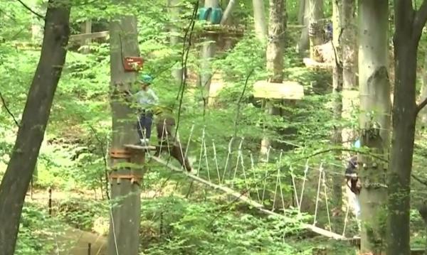 Locul din România unde se găseşte cel mai mare parc de aventură. Experienţa costă între 115 şi 125 lei