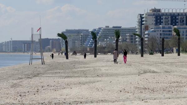 Stațiunile de pe litoral care vor avea perdele verzi pentru umbră și răcoare. Peste 200 de copaci plantaţi