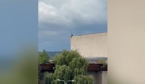 Imagini sfâşietoare la Târgu Jiu. Copil, surprins pe marginea unui acoperiş, cu picioarele atârnând în gol