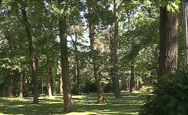 Bărbat înjunghiat într-un parc din Târgu Mureș. Se certase cu agresorul pentru un apartament