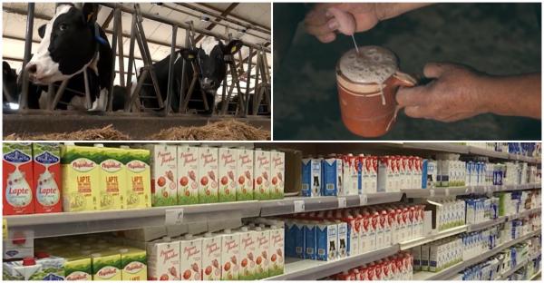 De ce fermierii vând laptele cu 70 de bani litrul, iar în magazine ajunge la peste 5 lei