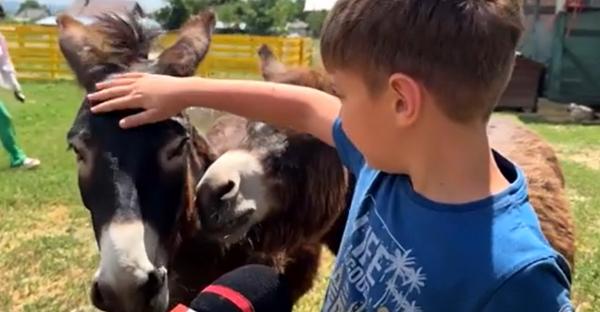 Locul din România unde copiii uită de telefoane și se împrietenesc cu animalele