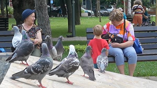 Obiceiul care îi poate costa scump pe bucureșteni: amenzi de mii de lei