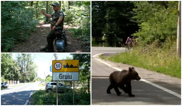 Panică în Ilfov după ce un pădurar a dat nas în nas cu un urs. "Când l-am văzut, am îngheţat"