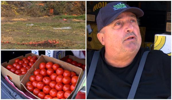 "Marfă frumoasă şi nu ai cui vinde". Fermierii români nu îşi mai pot da roşiile nici cu 1 leu kilogramul