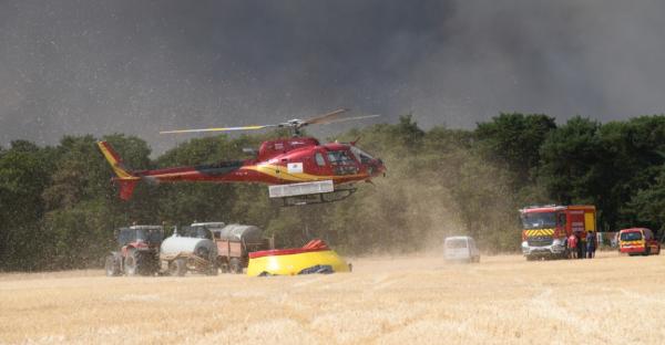 Peste 800 de hectare din pădurea Fontainebleau s-au făcut scrum. 900 de oameni, evacuaţi din calea flăcărilor