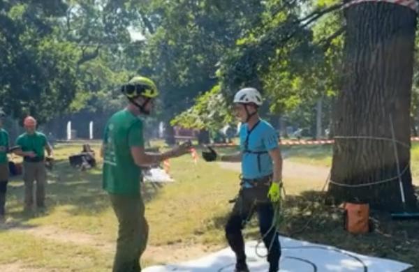 Concurs inedit la Sibiu: campionatul de căţărare în copaci. Ce trebuie să respecte participanţii