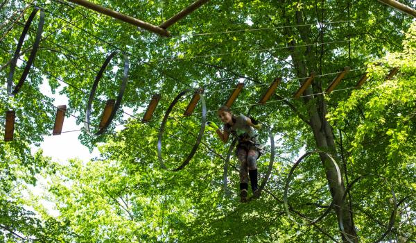 Aventura care atrage zilnic 400 de oameni la Brașov: obstacole, emoții și curaj în mijlocul naturii
