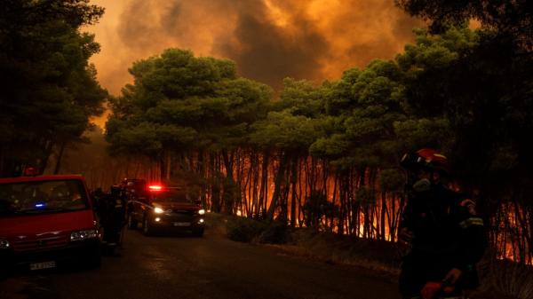Incendiu uriaș lângă Atena. 5.000 de hectare, mistuite de flăcări la Porto Germeno: "Nu se putea face nimic"