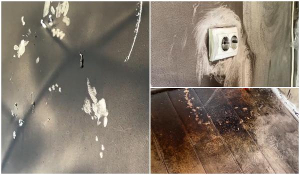 Explozie la un salon din Iaşi. Atacatorul a spart geamul şi a aruncat înăuntru o sticlă incendiară