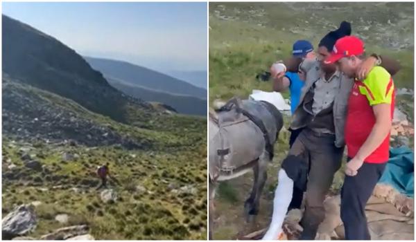 Cioban muşcat de picior de urs în Masivul Iezer. A încercat să-l alunge cu bâta pentru a-şi apăra turma
