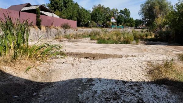 Seceta face prăpăd în vestul ţării: râurile s-au transformat în simple poteci