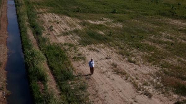 Risc de penurie alimentară în 2027. Canicula și seceta lovesc agricultura Europei