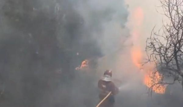 România sare în ajutorul Serbiei. Pompierii români și un elicopter Black Hawk, trimiși să lupte cu incendiile