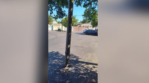 Dorel de la Brăila a uitat stâlpul în drum. Lucrare de asfaltare cu surpriză la final pentru locuitori